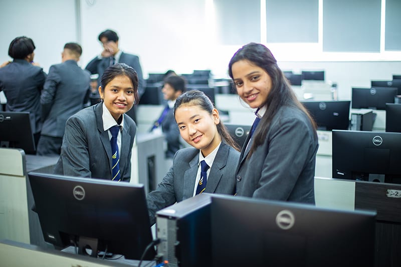 Year 1 — You Become a Programming Foundation Builder