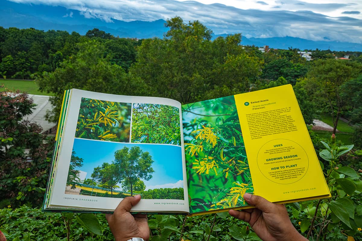 green book-4