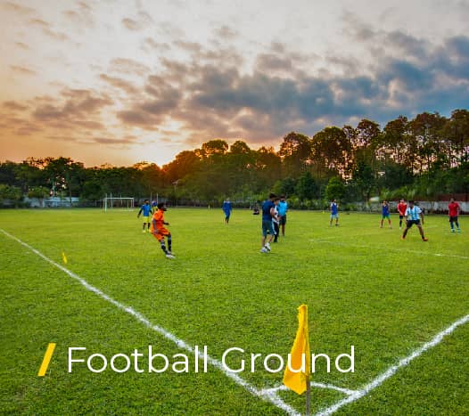 Football Ground