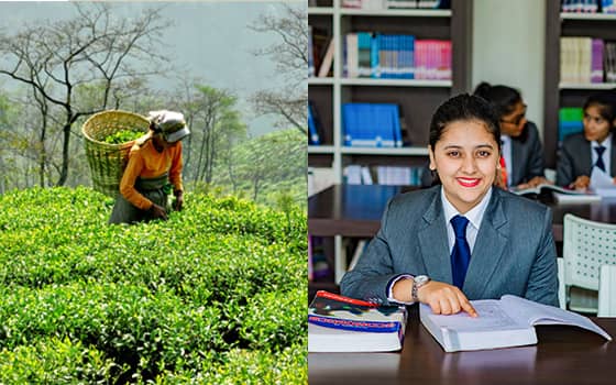 Students at Inspiria amid the surrounding tea gardens